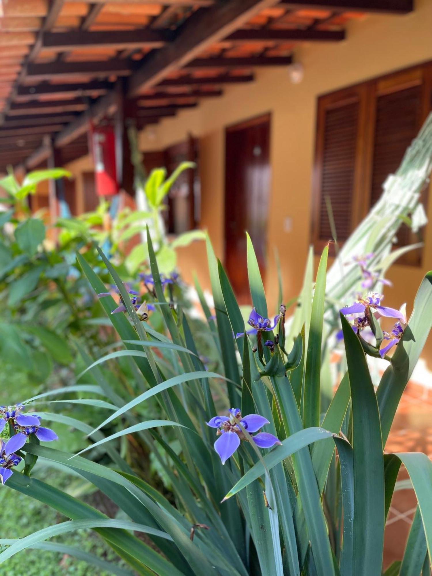 Pousada Jardins Araquari Exterior photo